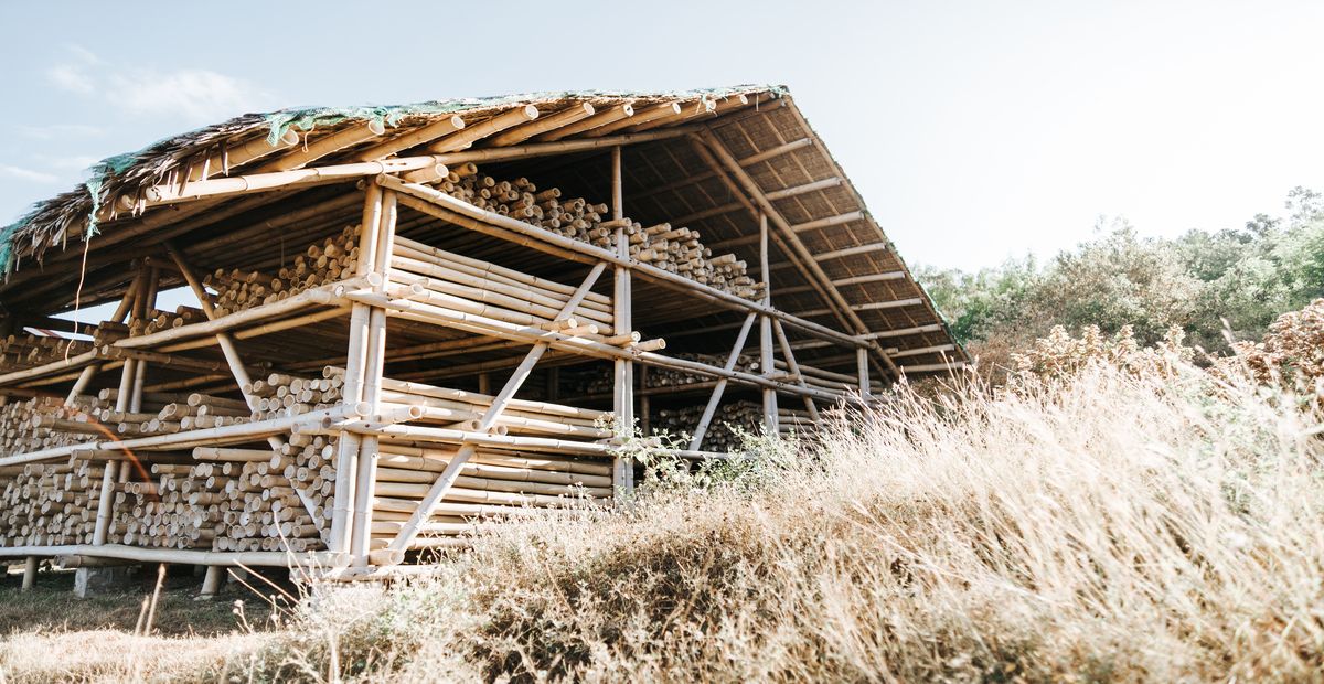 What Makes Bamboo a Good Alternative Construction Material?
