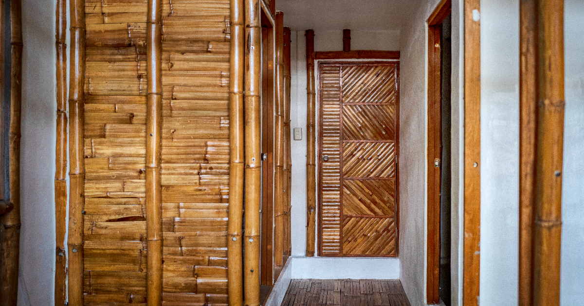 Eco-Friendly Homes as the Future of Sustainable Housing