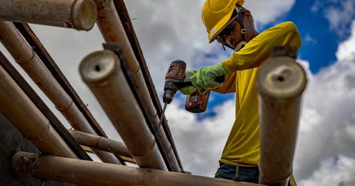 Bamboo Treatment for Building