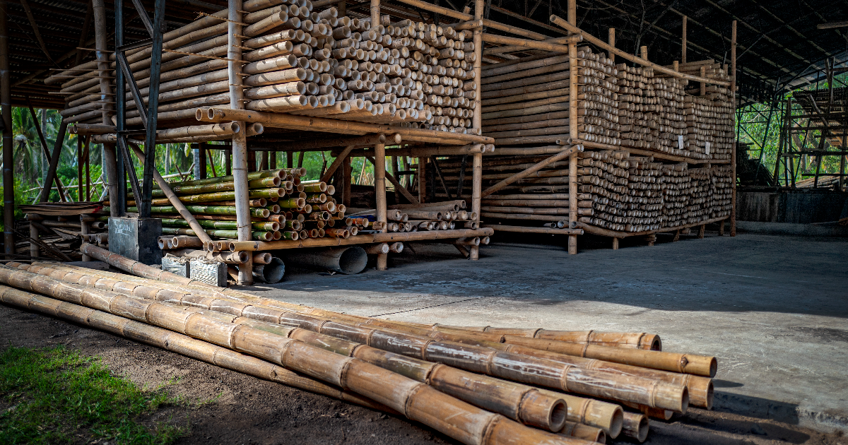 From Harvesting to Building: Making High-quality Building Materials with  Bamboo - Building Sustainable Future Today - BASE
